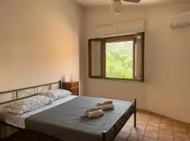 La Casa del Cedro a Teulada 8