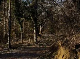 Chambre hotes avec vue panoramique sur la foret