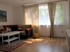 Апартаменти Амфора