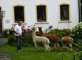 Alpakahof Blomberg
