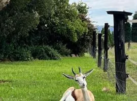 Sanctuary life guest farm