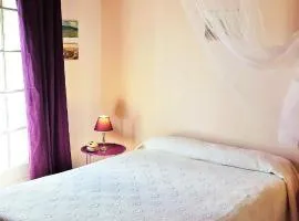 Appartement dans villa provençale, jardins et 3VTT disponibles