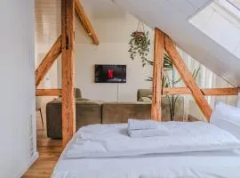 Penthouse in Hildesheims Philosophen Viertel