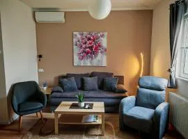Apartman - sobe Corina-blizu Osijeka