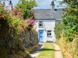Tan-Y-Fynwent