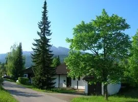 Ferienhaus Fuchsweg im Feriendorf Reichenbach F8