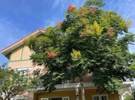 BICH DAO Boutique - Dalat
