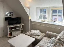 Hüs Sanskiin Ferienwohnung *Goodshenk*