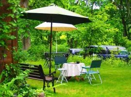 Snowfall Meteor 飛雪流星