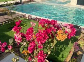 شاليه كوڤ 2 Cove Chalet