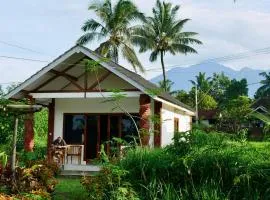 Rice Field inn - Lombok