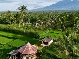 Rice Field inn - Lombok