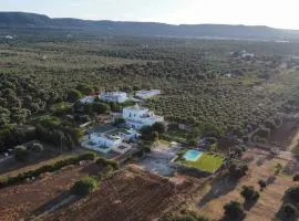 Masseria Borgo Santuri