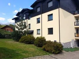 APARTMÁN SLAVKOV home & parking