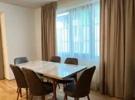 Victoria apartment - Sandanski