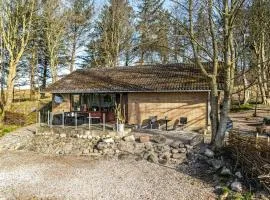 Cozy Holiday Home Near Lild Strand,