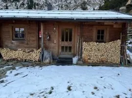 Rustic Hut Salzburg near Ski Slopes