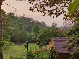 Tree Guest House kep