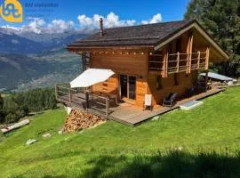 Mayen de Tsèbetta 36, magnifique chalet au milieu des sapins