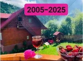 Pensiunea Cabana Viselor ,Apuseni