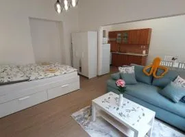 Apartmán Příkrá