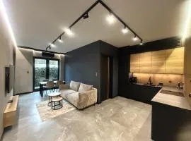 Deluxe Industrial Apartment free Parking