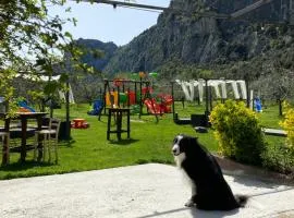 Alla Pergola