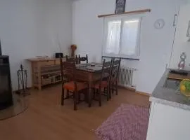 Casa con giardino in centro