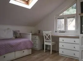 Ledinić room