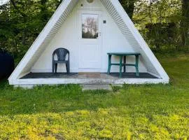 Stege Camping