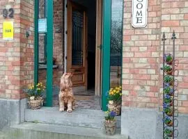 ' t Geel Huizeken - B&B - koffiehuis