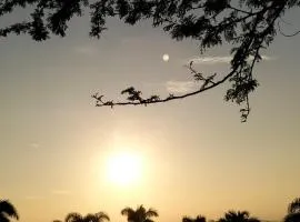 2 Bedroom Willow Park Apartment