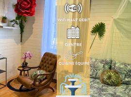 Pitchoune - Centre -Wifi - Equipé, hotel di Dax