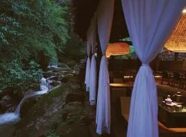 青城山坐忘森林疗愈酒店