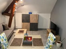 Magnifique T2 Cosy refait à neuf