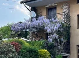 Al glicine