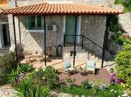 The Olive Tree
