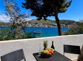 Bronislovas holiday home 1