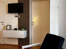 Apartman RISTIC