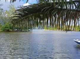 Tahiti Iti - Fare Pihiti Spot