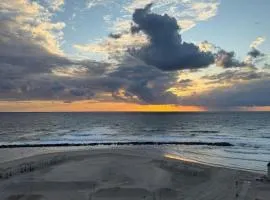 גלי אלמוגים