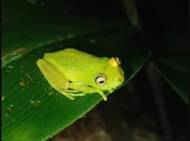 Viesnīca Hostal Parque Etnobotánico Omaere pilsētā Pujo