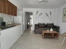Zenith Apt #3
