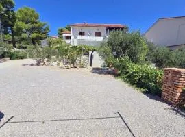 Apartments with parking space Barbat, Rab - 24096