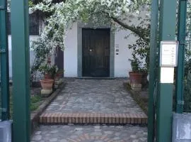 B&B Camelie