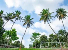 Ambik Riverside Camp And Resort