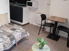 STUDIO 1 personne dans le centre historique, Hotel in Le Puy-en-Velay