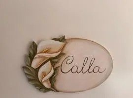 Case VacanzeRò