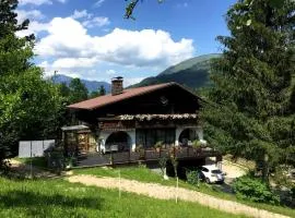 Ferienwohnung Obereck Natur-Ruhelage - Bad Ischl