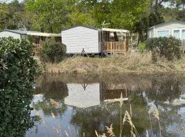 Bungalow moderne vue bassin les viviers Cap-ferret